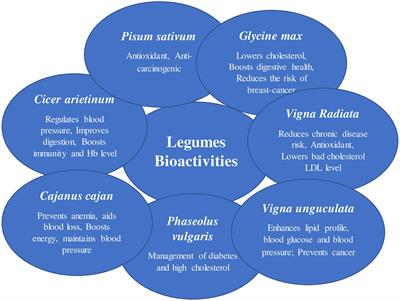 Escalate protein plates from legumes for sustainable human nutrition